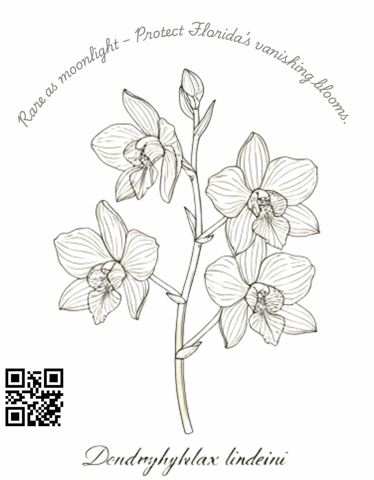 Botanical Echoes