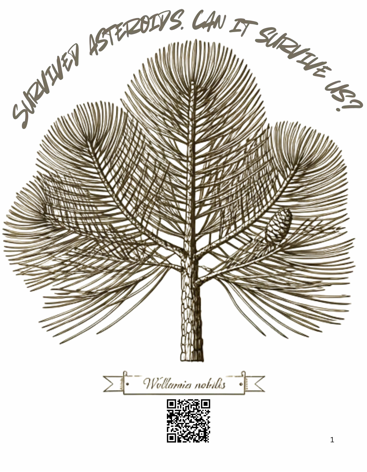 Wollemi Pine